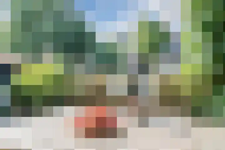 Schoenmakersloot 30 Broek op Langedijk thumbnail 53