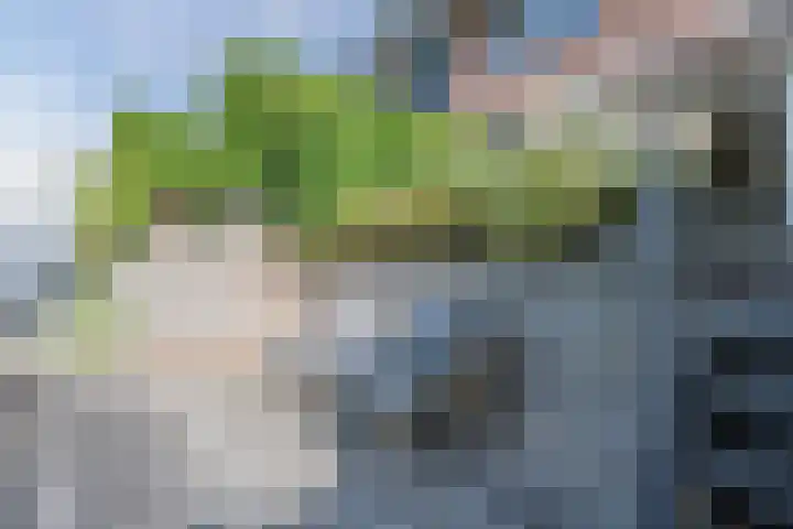 Schoenmakersloot 30 Broek op Langedijk thumbnail 54