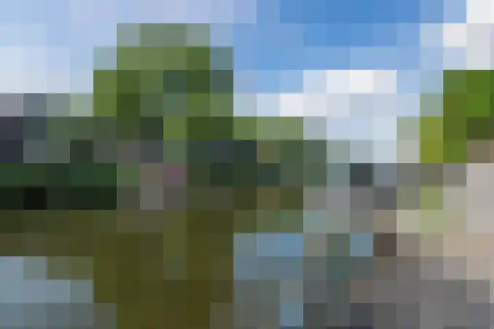 Schoenmakersloot 30 Broek op Langedijk thumbnail 58