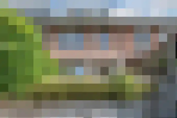 Schoenmakersloot 30 Broek op Langedijk thumbnail 59