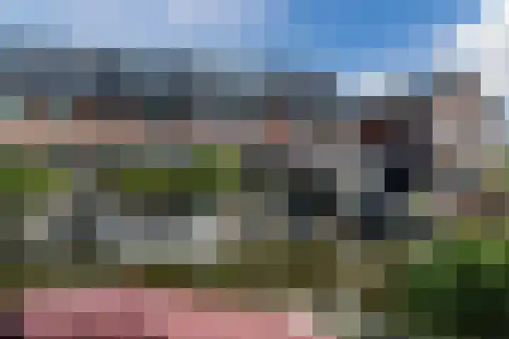 Schoenmakersloot 30 Broek op Langedijk thumbnail 62