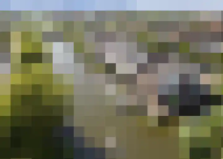 Schoenmakersloot 30 Broek op Langedijk thumbnail 65