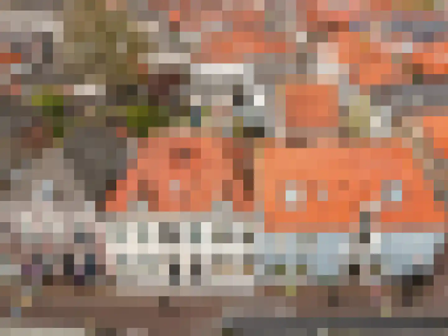 Schoenmakersstraat 15 A Harderwijk thumbnail 22