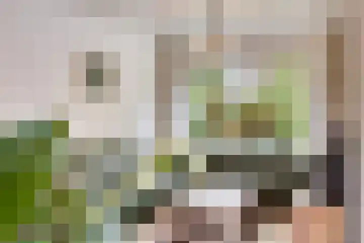 Schoenmakersstraat 2 Best thumbnail 13