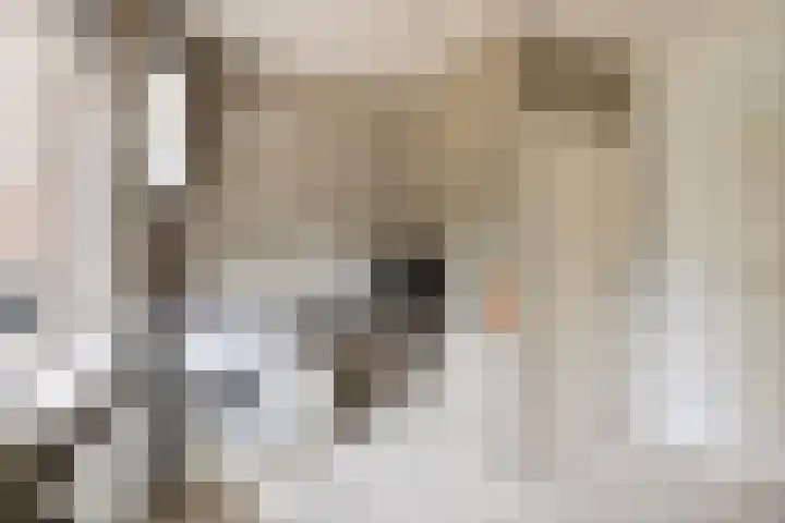 Schoenmakersstraat 2 Best thumbnail 20