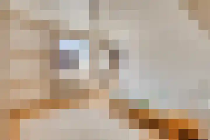 Schoenmakersstraat 2 Best thumbnail 28