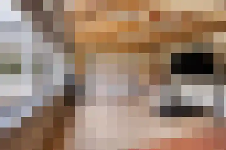 Schoenmakersstraat 2 Best thumbnail 34
