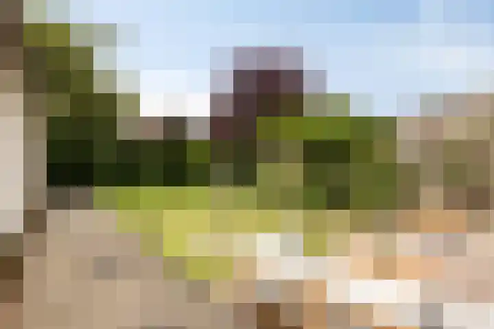 Schoenmakersstraat 2 Best thumbnail 37