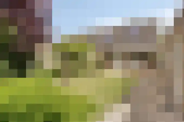 Schoenmakersstraat 2 Best thumbnail 38