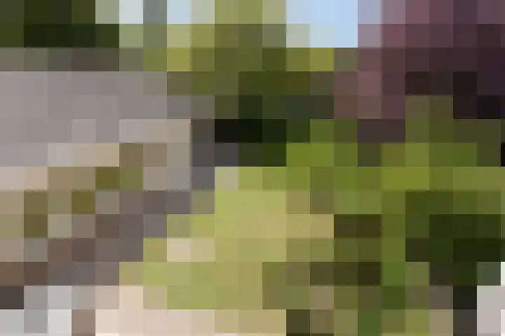 Schoenmakersstraat 2 Best thumbnail 41