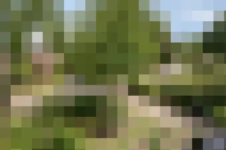 Schoenmakersstraat 2 Best thumbnail 42