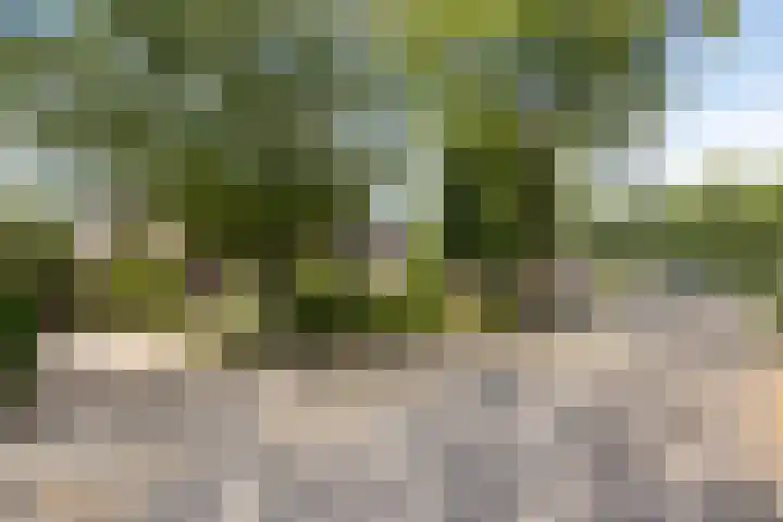 Schoenmakersstraat 2 Best thumbnail 43