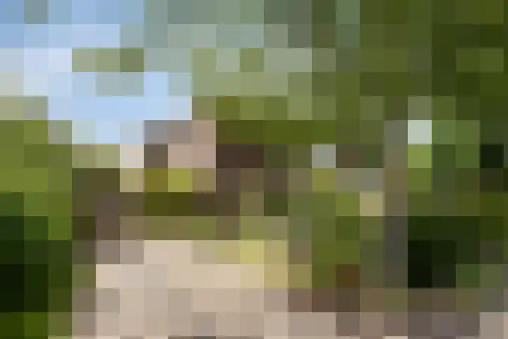 Schoenmakersstraat 2 Best thumbnail 48