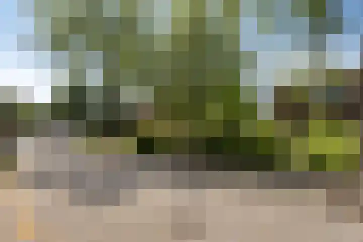 Schoenmakersstraat 2 Best thumbnail 7
