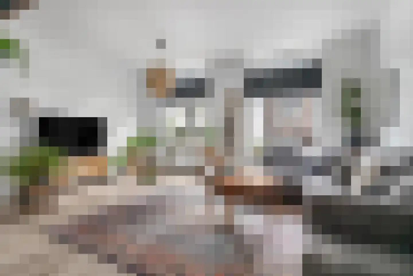 Schoenmakersstraat 9 B Roermond thumbnail 4