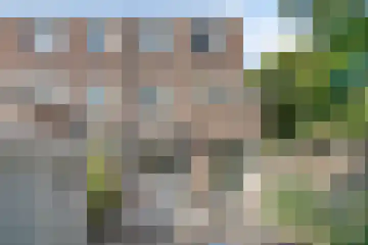 Schoenmakerstraat 125 Alkmaar thumbnail 29
