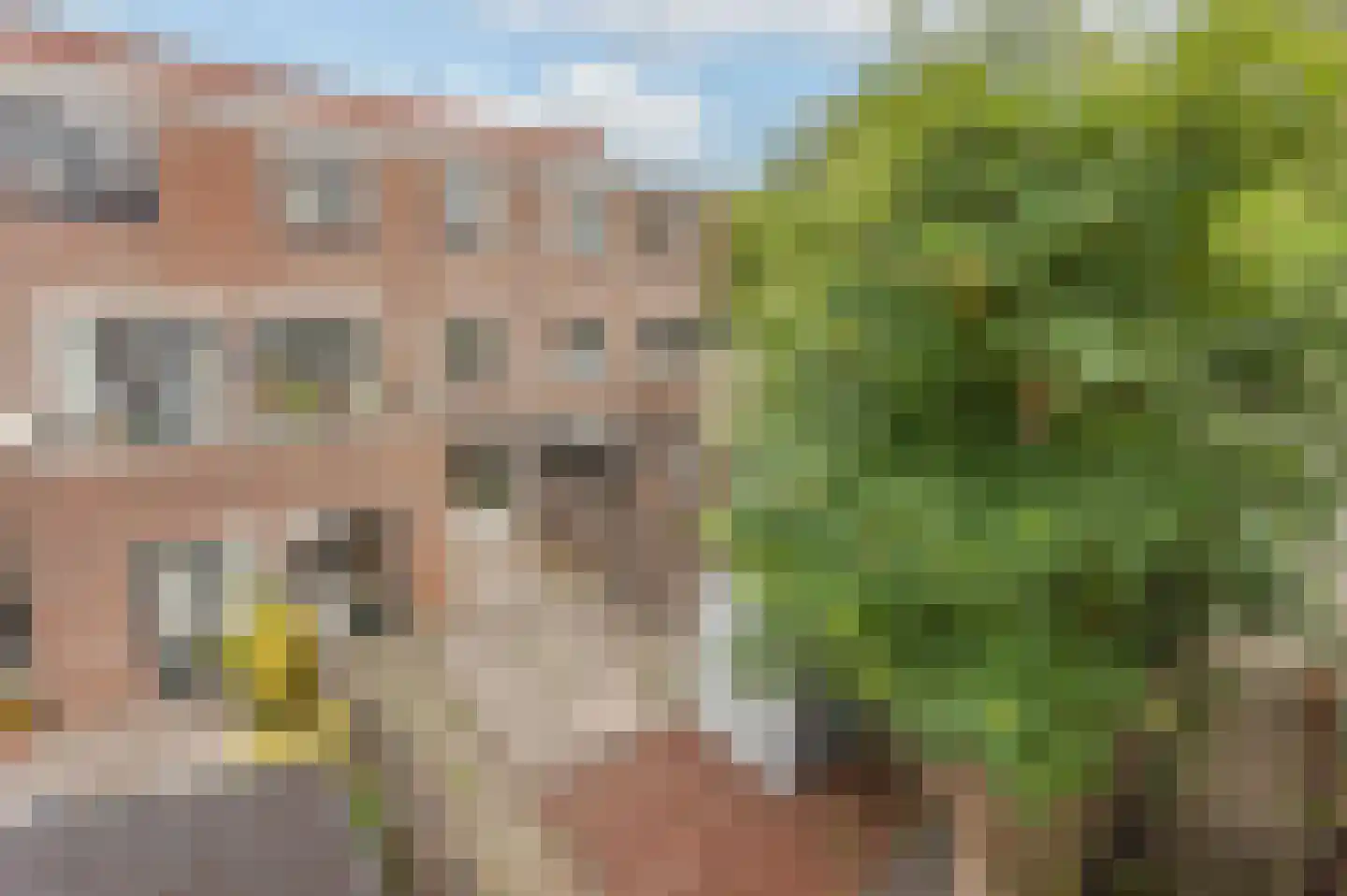 Schoenmakerstraat 129 Alkmaar thumbnail 33
