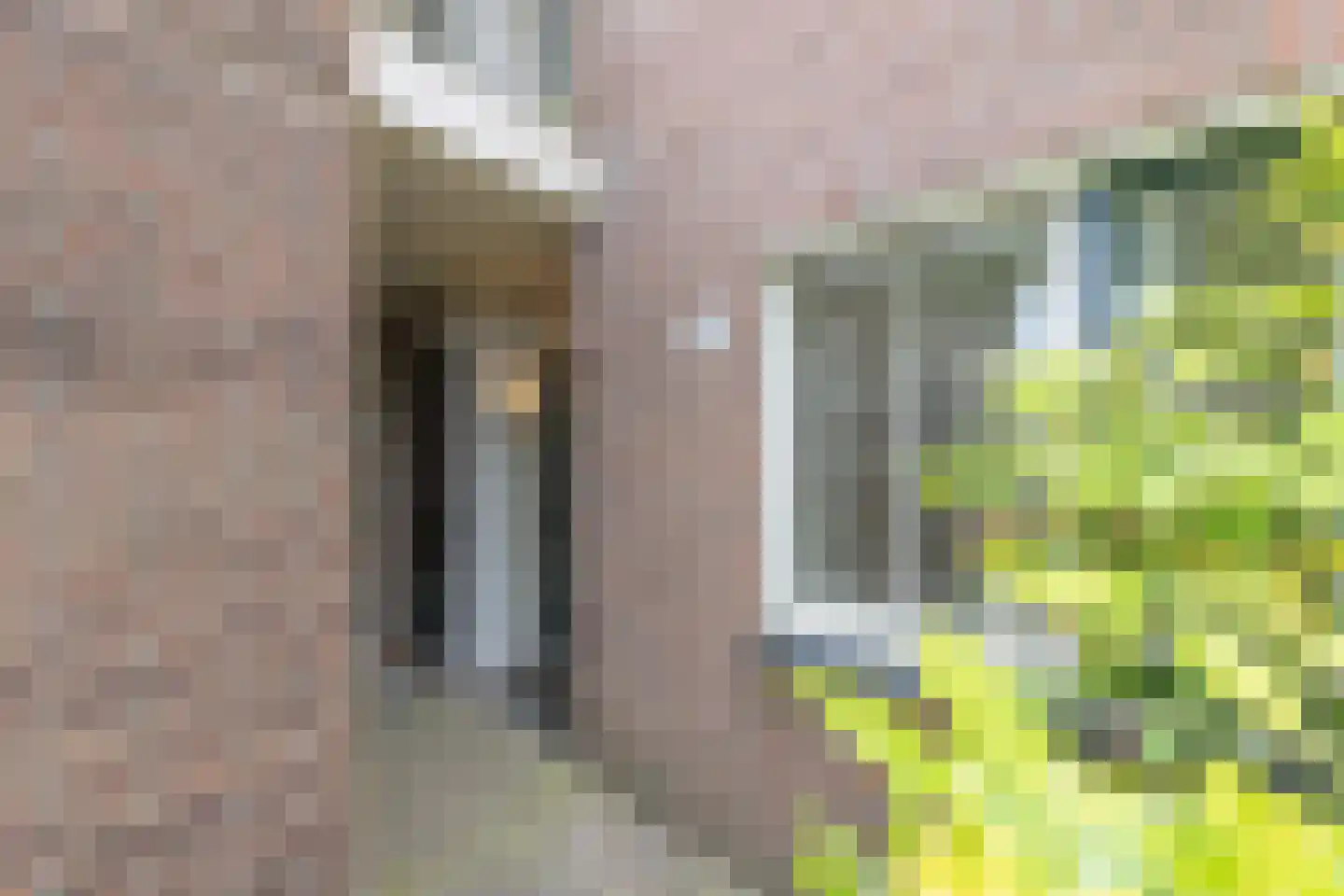 Schoenmakerstraat 129 Alkmaar thumbnail 8