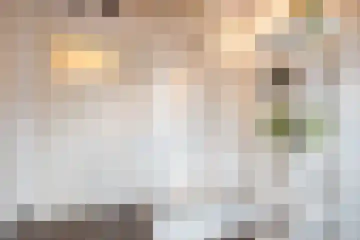 Schoenmakerstraat 14 Eindhoven thumbnail 24