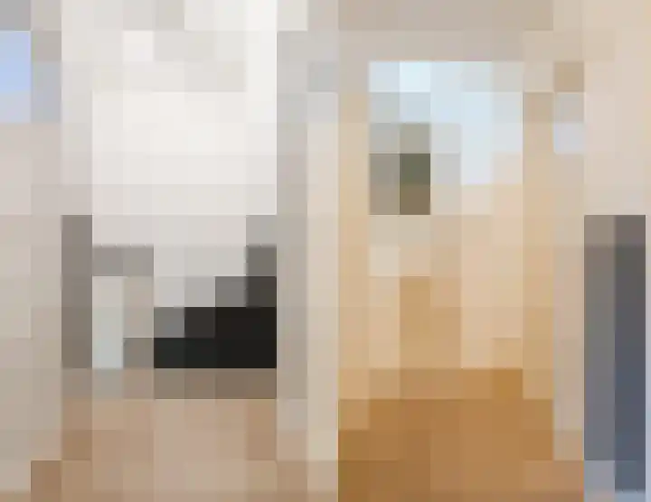 Schoenmakerstraat 14 Eindhoven thumbnail 25