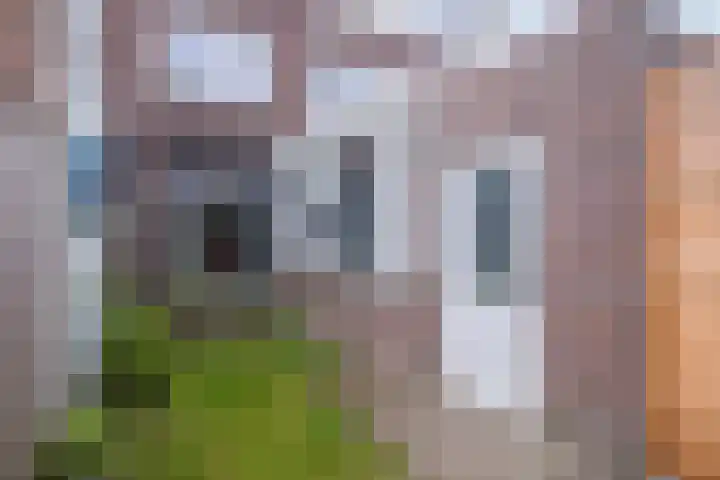 Schoenmakerstraat 14 Eindhoven thumbnail 31