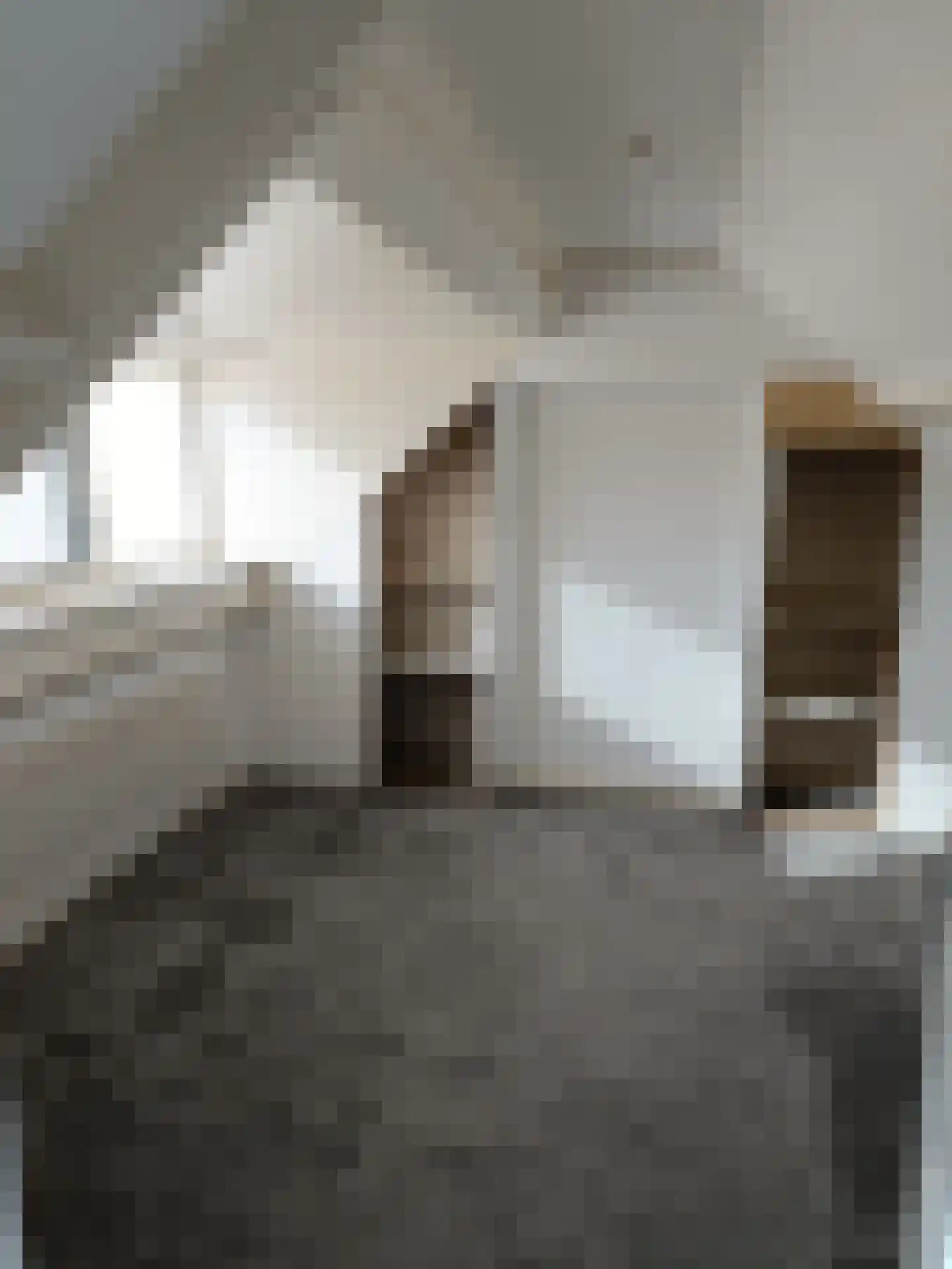 Schoenmakerstraat 37 Eindhoven thumbnail 8