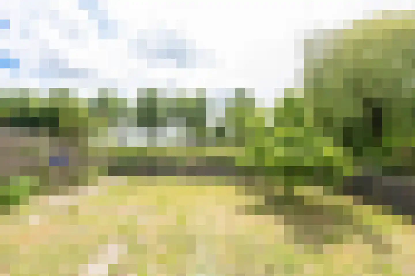 Schoffel 31 Warmenhuizen thumbnail 32