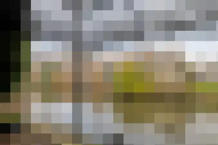 Schoffelstraat 29 Purmerend thumbnail 36