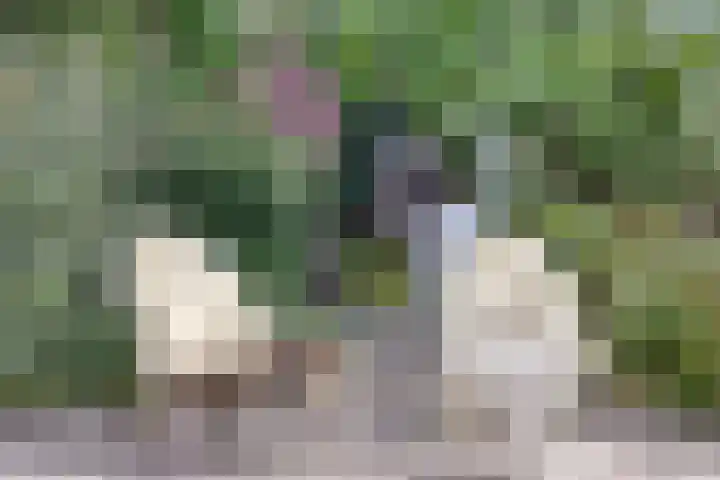 Schokkencamp 2 Zevenaar thumbnail 50