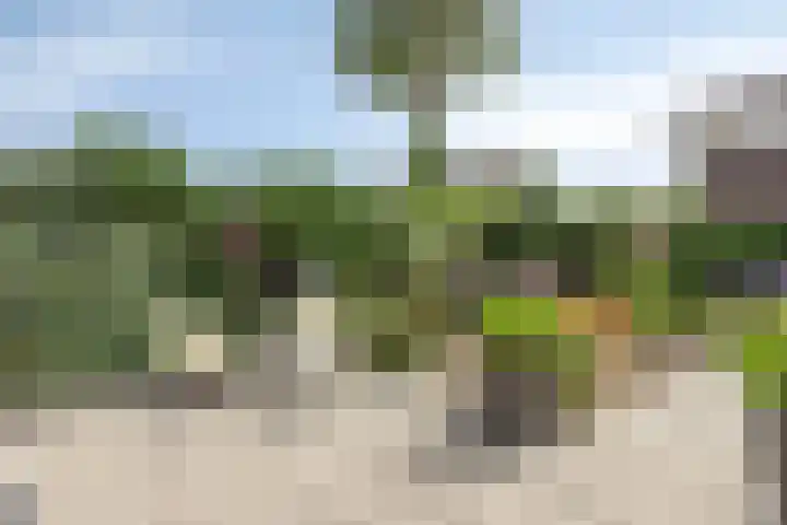 Schokkencamp 2 Zevenaar thumbnail 54