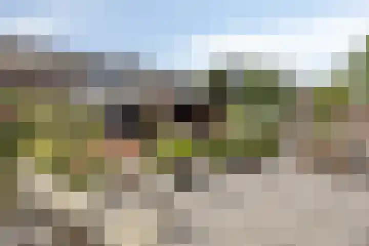 Schokkencamp 2 Zevenaar thumbnail 55