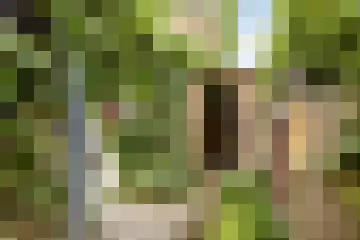 Schokkencamp 2 Zevenaar thumbnail 57