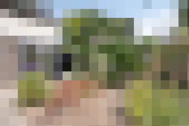 Schokkencamp 2 Zevenaar thumbnail 64