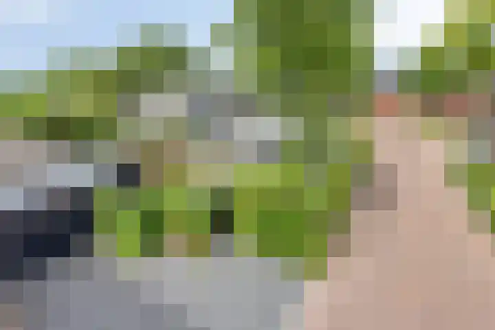 Schokkencamp 2 Zevenaar thumbnail 67