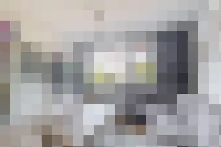 Schokker 16 Brielle thumbnail 18