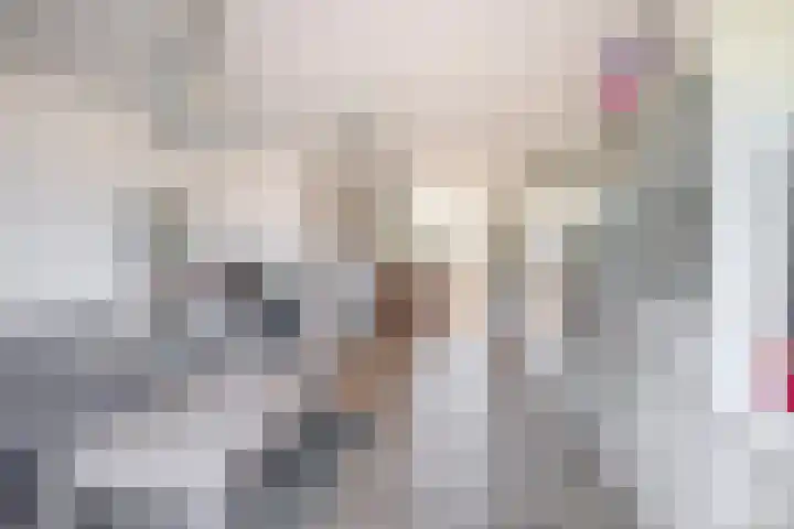 Schokker 16 Brielle thumbnail 21