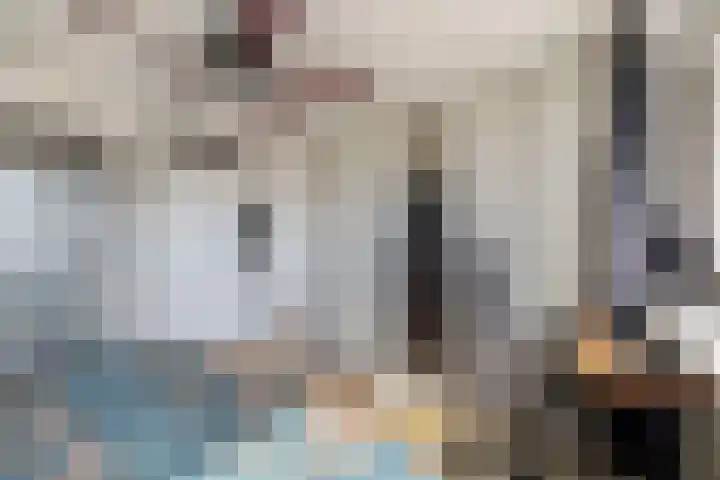 Schokker 16 Brielle thumbnail 33