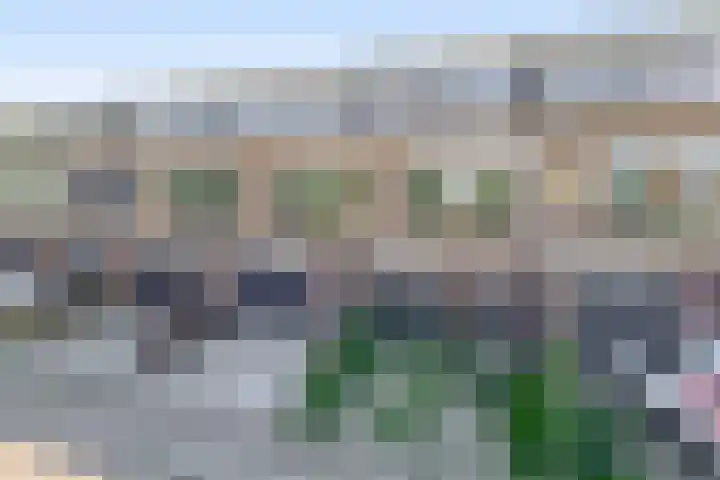 Schokker 16 Brielle thumbnail 46