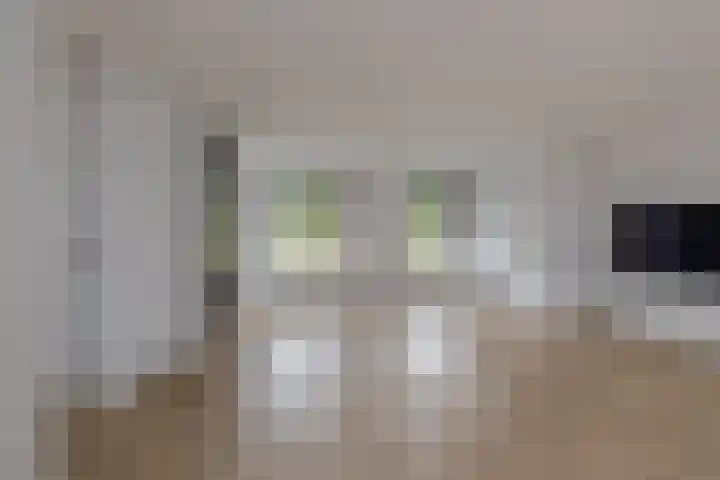 Schokker 22 A Velserbroek thumbnail 12
