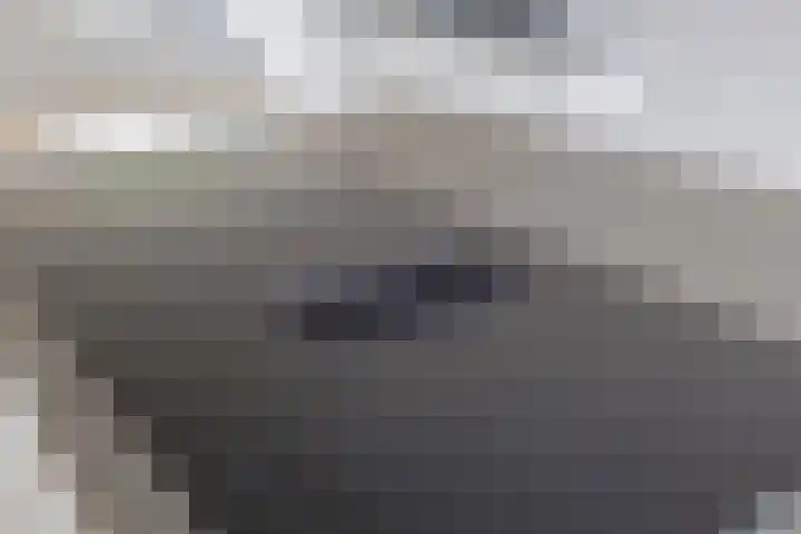 Schokker 22 A Velserbroek thumbnail 19