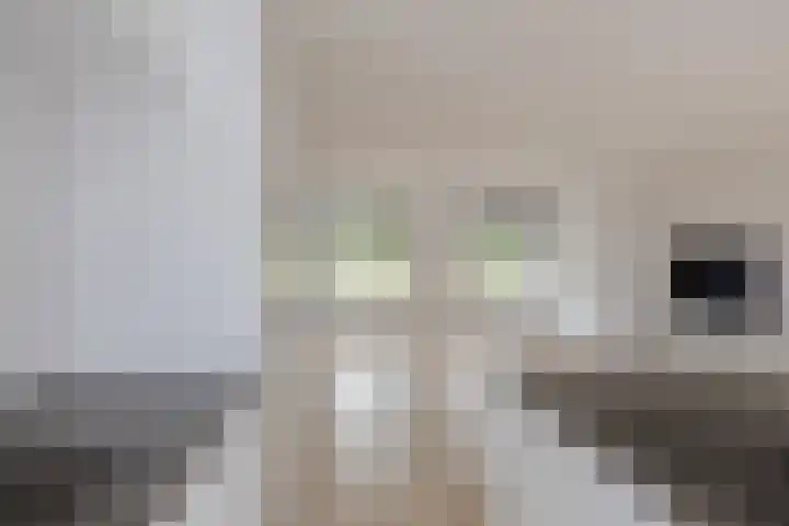 Schokker 22 A Velserbroek thumbnail 20