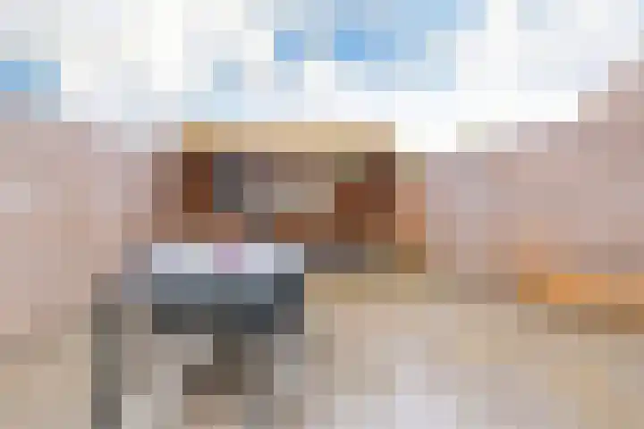 Schokker 22 A Velserbroek thumbnail 21