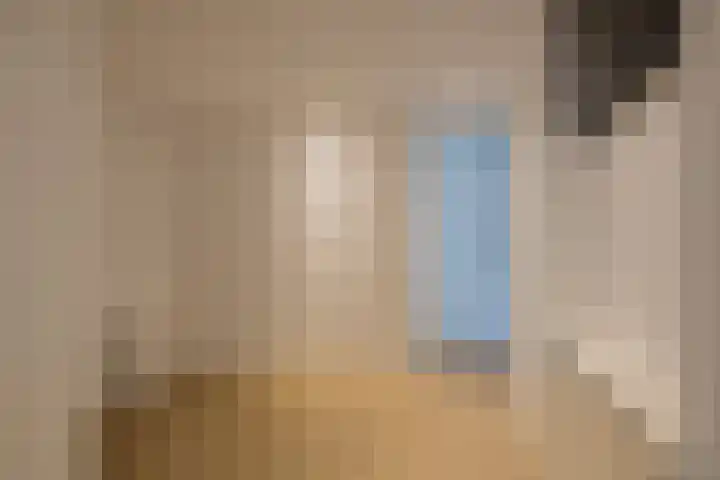 Schokker 22 A Velserbroek thumbnail 30