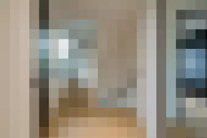 Schokker 22 A Velserbroek thumbnail 31
