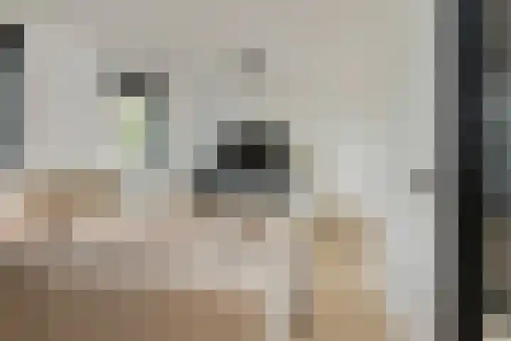 Schokker 22 A Velserbroek thumbnail 35