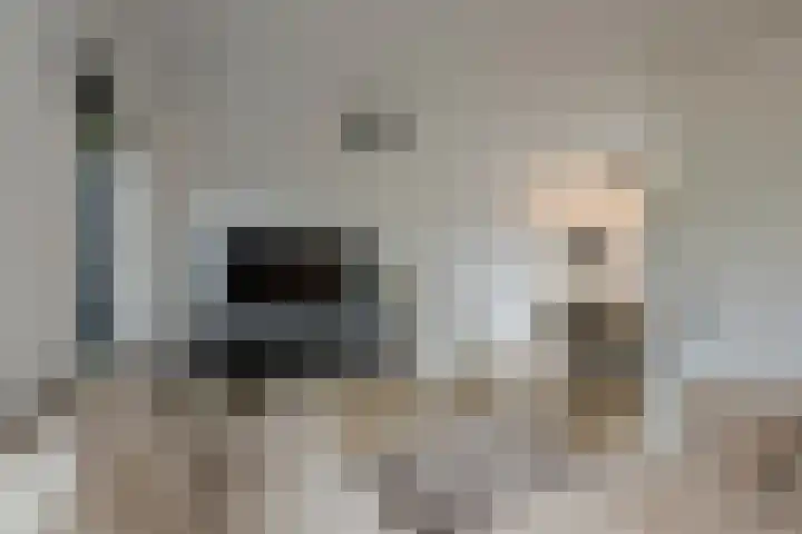 Schokker 22 A Velserbroek thumbnail 36