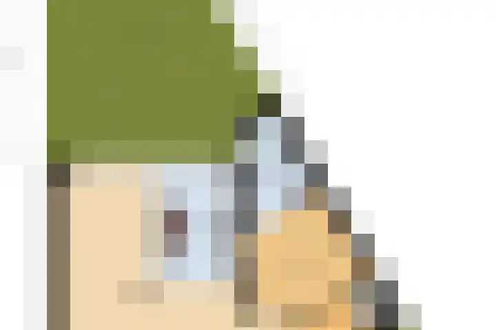 Schokker 22 A Velserbroek thumbnail 4