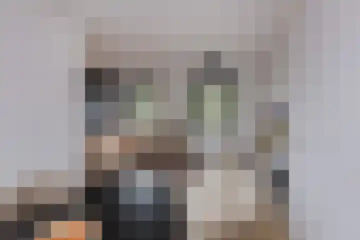 Schokker 22 A Velserbroek thumbnail 40