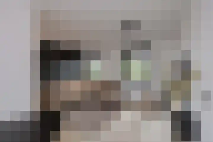 Schokker 22 A Velserbroek thumbnail 41