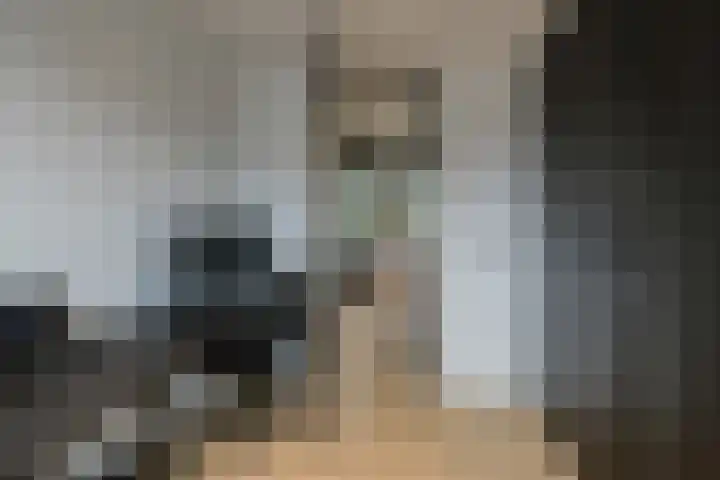 Schokker 22 A Velserbroek thumbnail 45